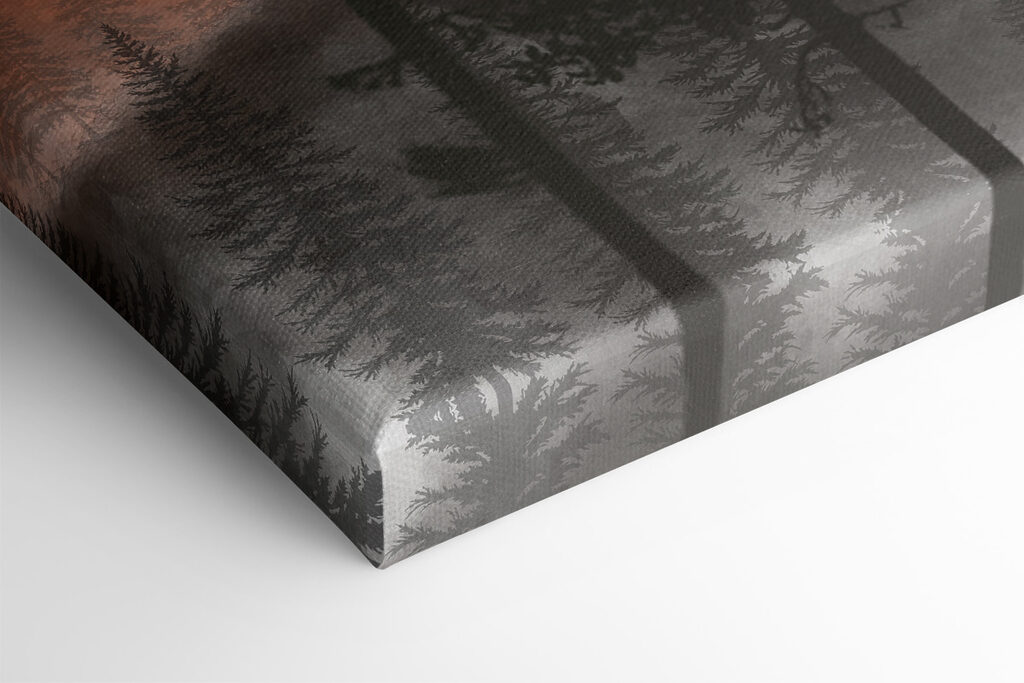 A group of trees in the mountains A group of trees in the mountains