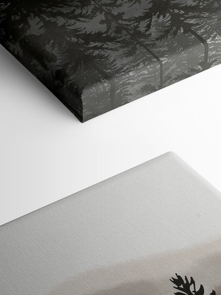 A group of trees in a forest