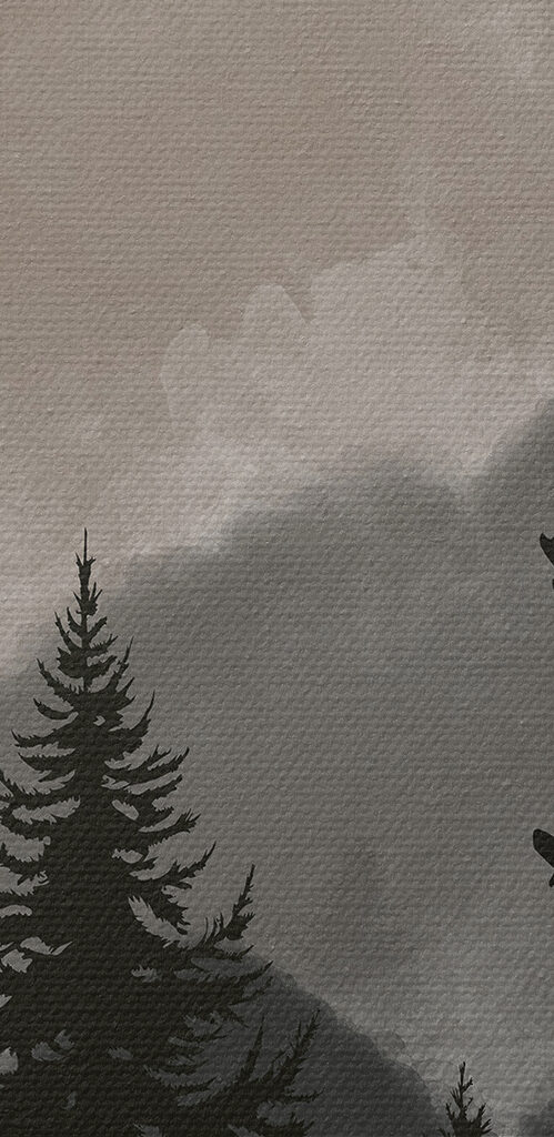 A group of trees in a forest