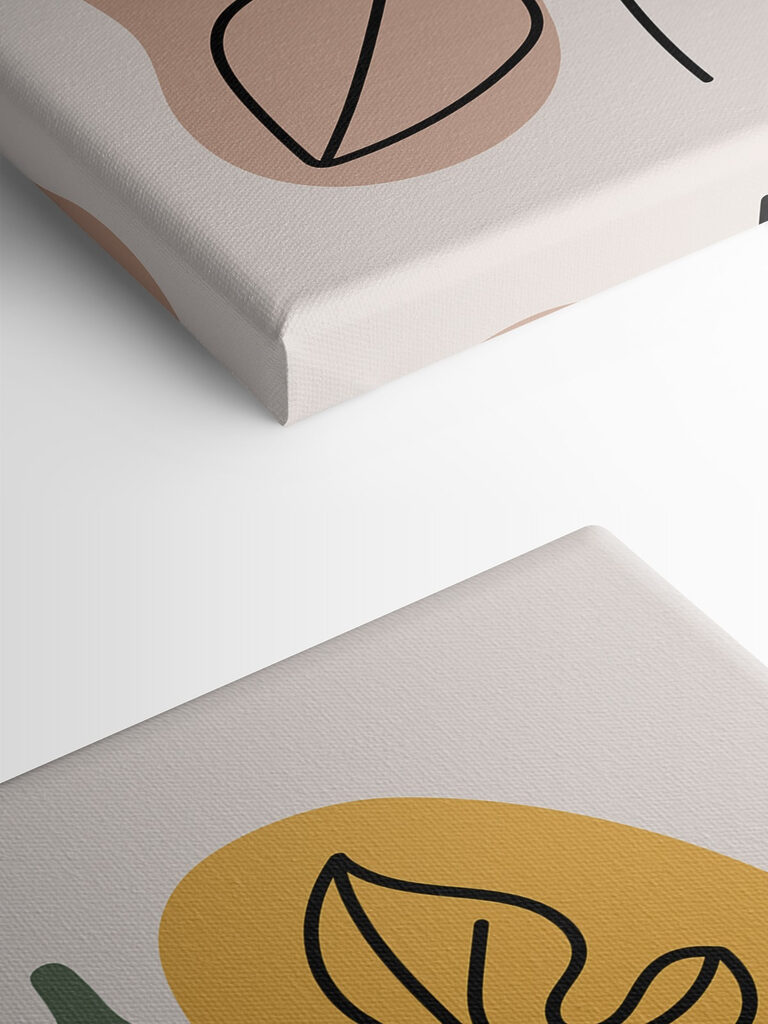 A fruit and leaves on a white background A fruit and leaves on a white background