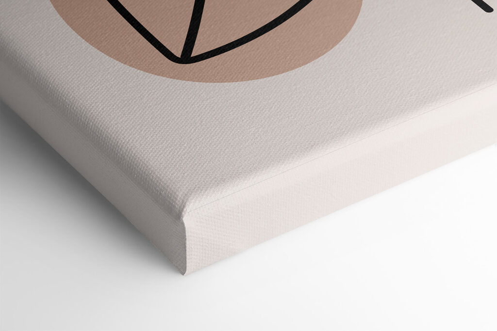 A fruit and leaves on a white background A fruit and leaves on a white background