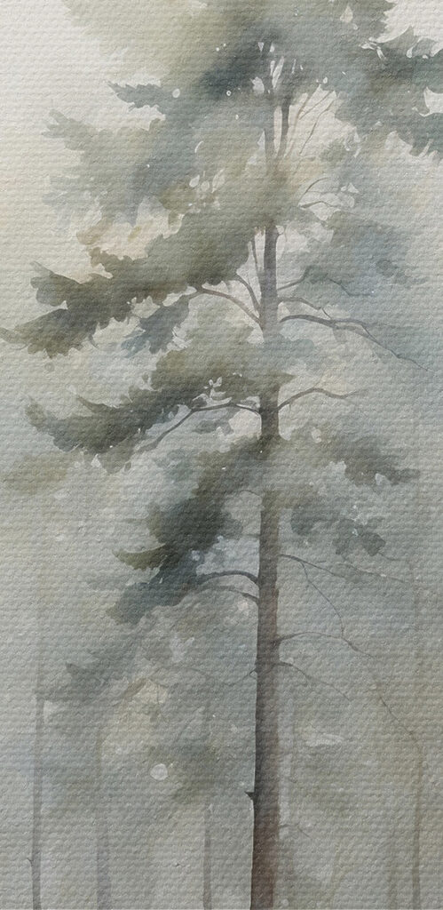 A watercolor painting of a forest A watercolor painting of a forest