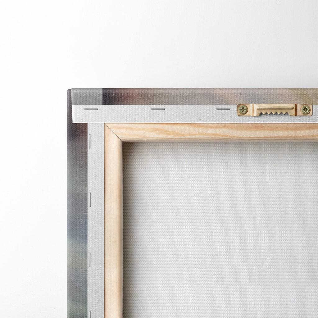 A close up of a flower