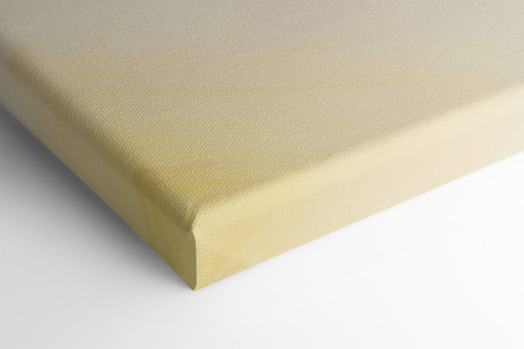 Two birds on a branch