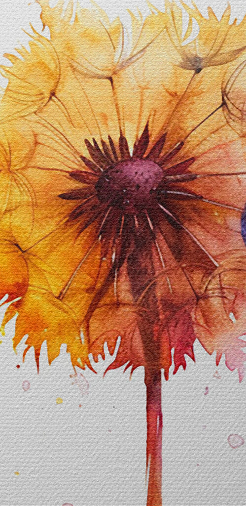 A group of colorful dandelions A group of colorful dandelions