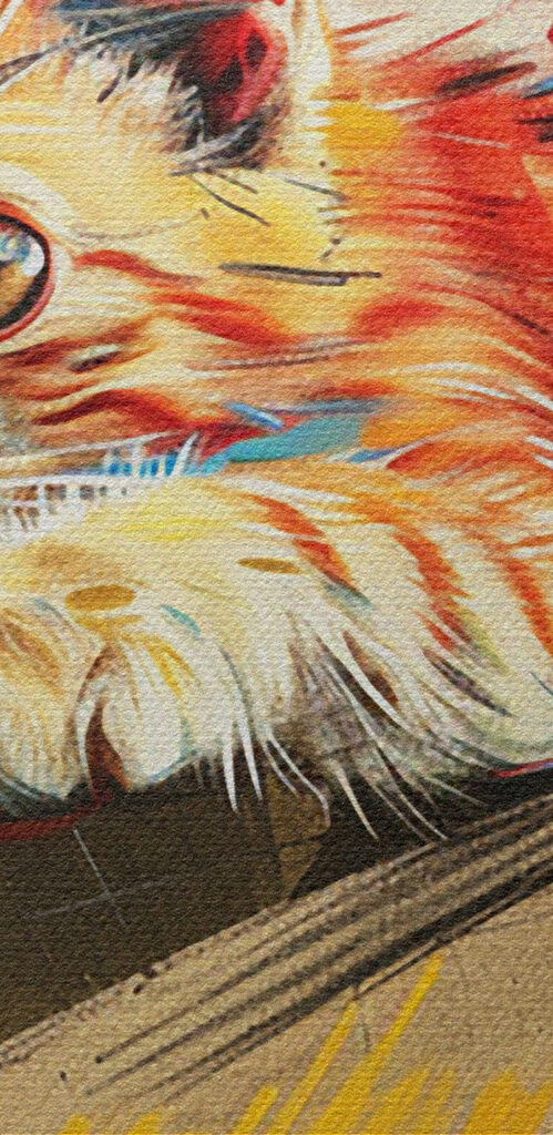 A cat lying on a box