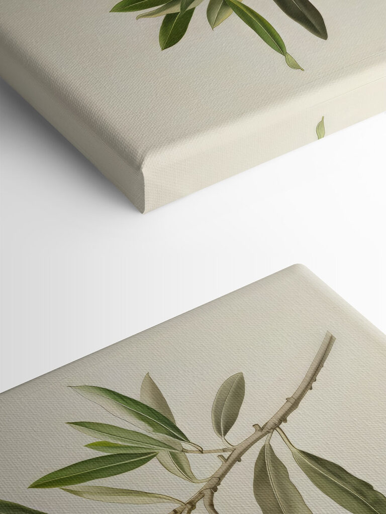 A green fruit on a branch A green fruit on a branch