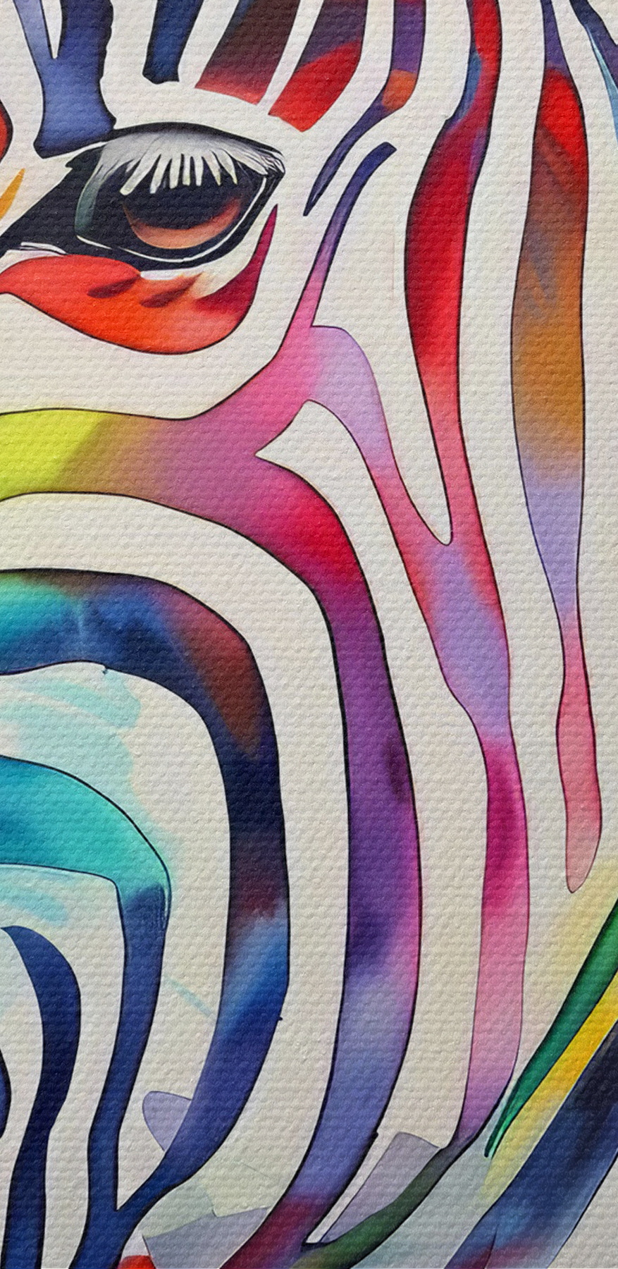Farebná zebra s farbami dúhy