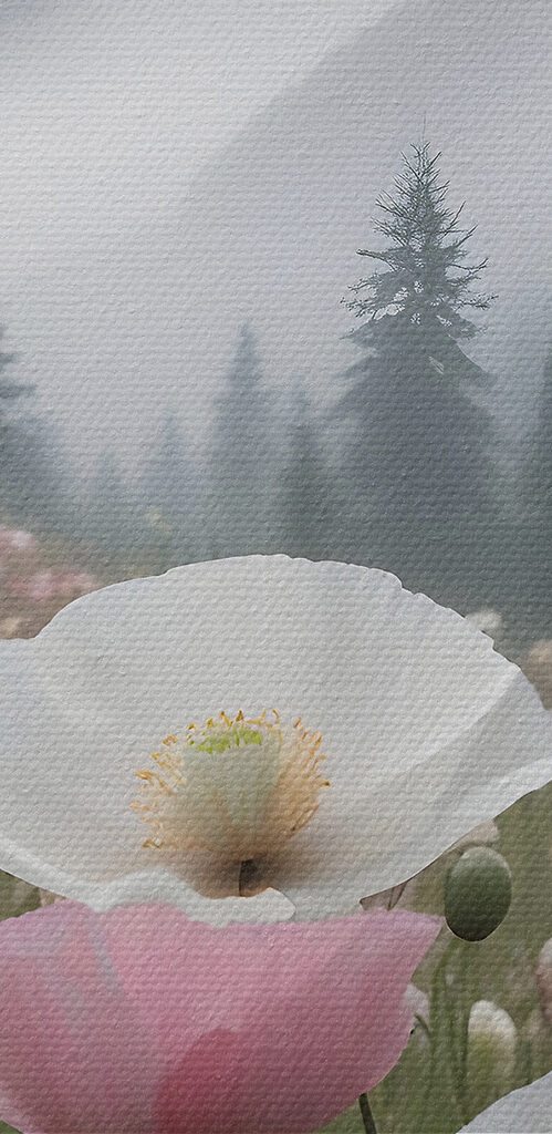 A field of pink and white flowers