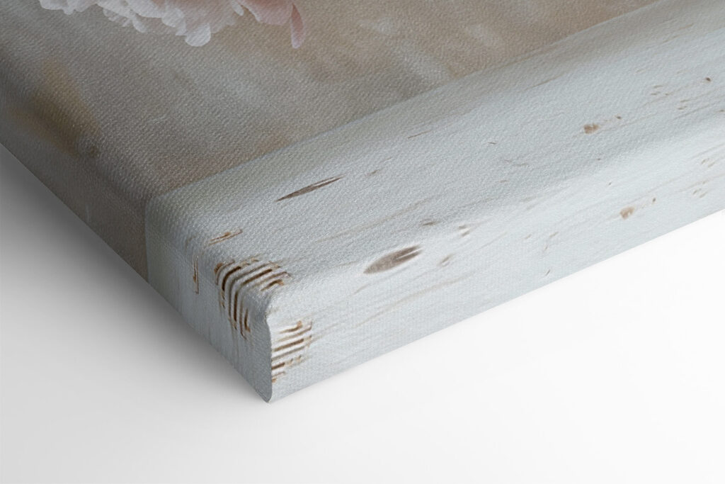 A vase of white flowers A vase of white flowers