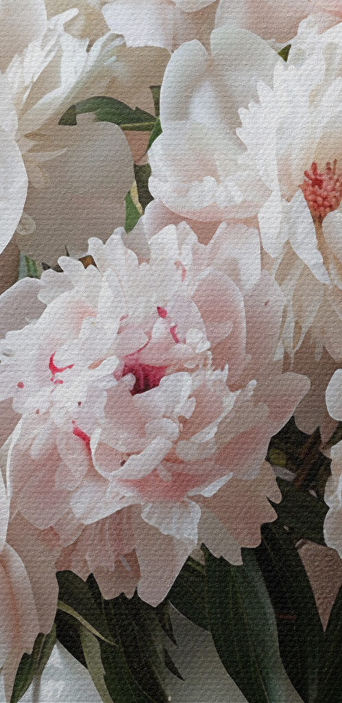 A vase of white flowers A vase of white flowers