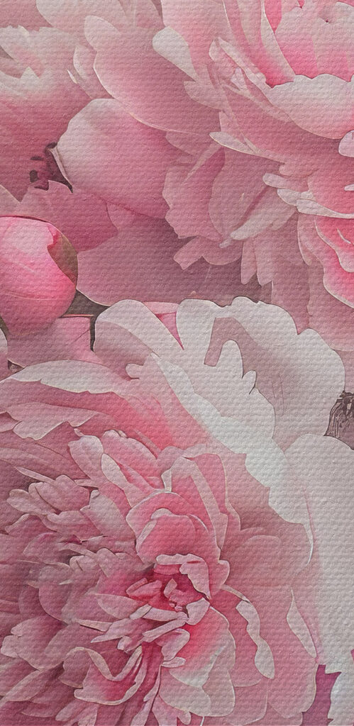 A bunch of pink flowers