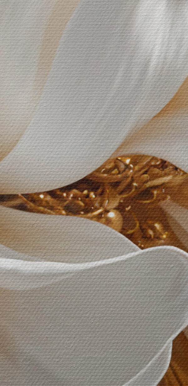 Elegant white flower with subtle details