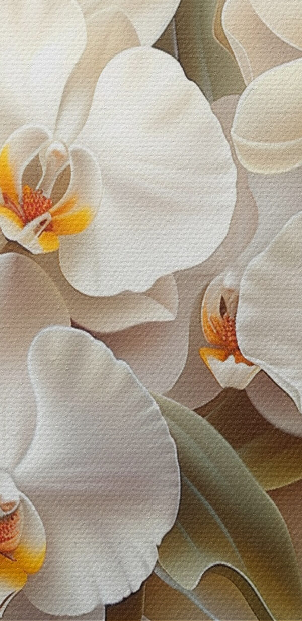 A group of white flowers