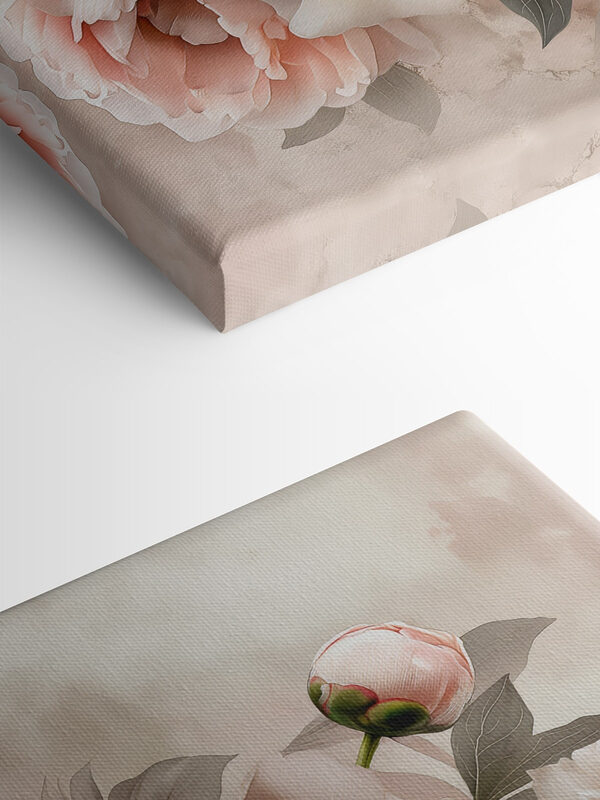 A group of flowers on a white background