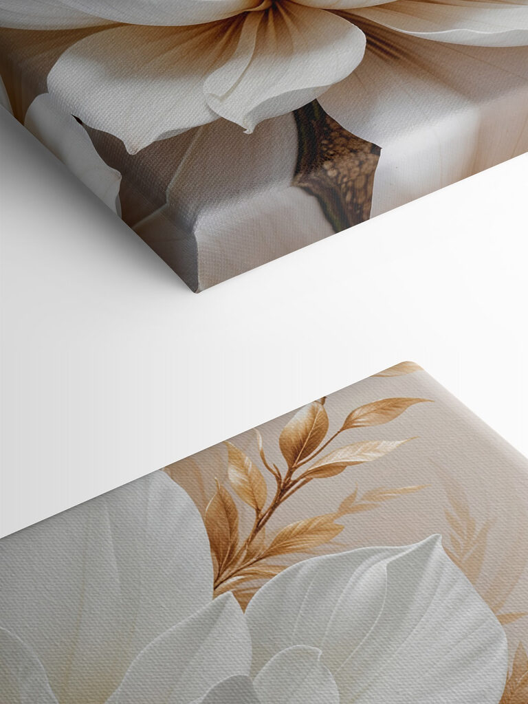 Close up of a white flower Close up of a white flower