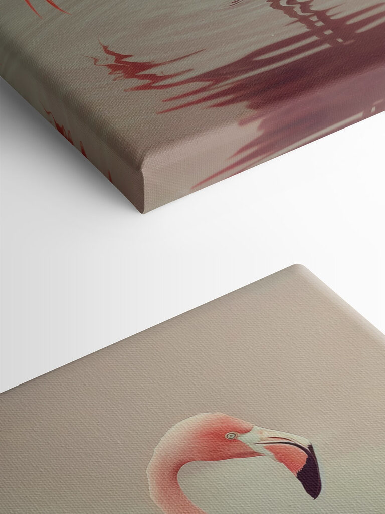 Flamingo standing in water