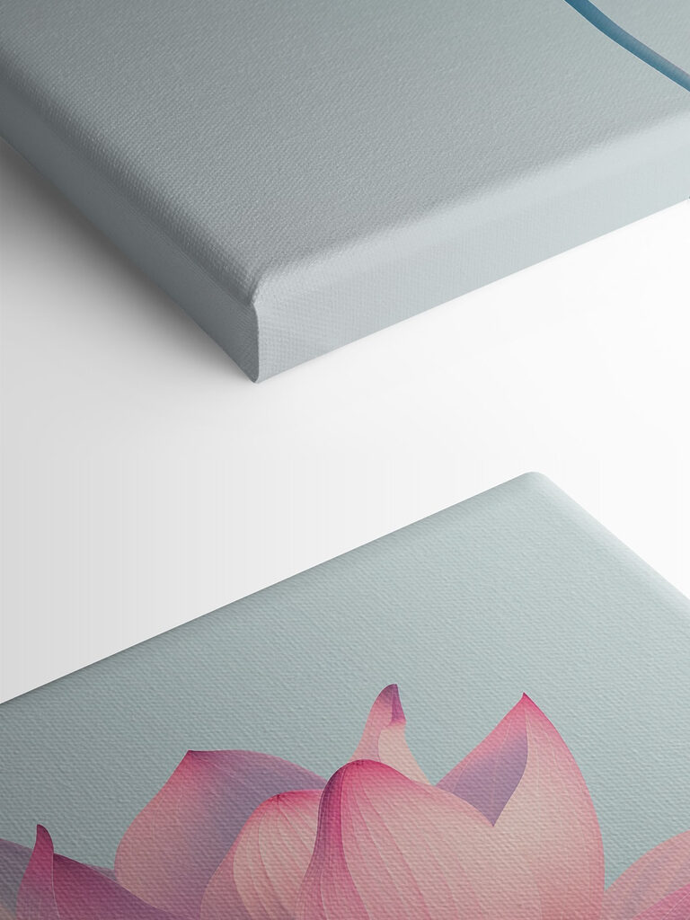 Pink and white flower