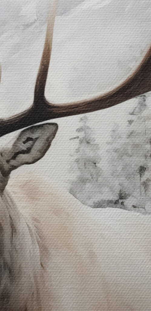 Moose with large antlers standing in a snowy forest Moose with large antlers standing in a snowy forest