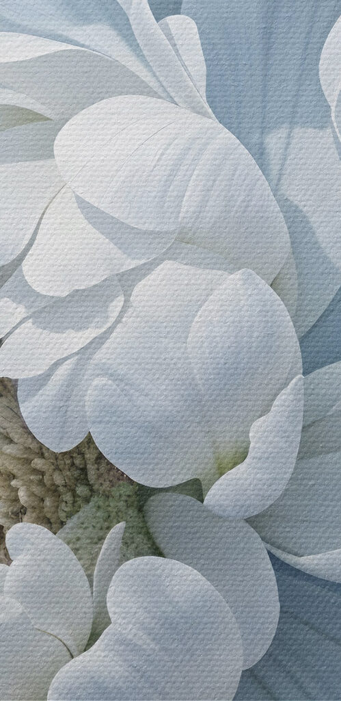 Delicate petals in soft hues Delicate petals in soft hues