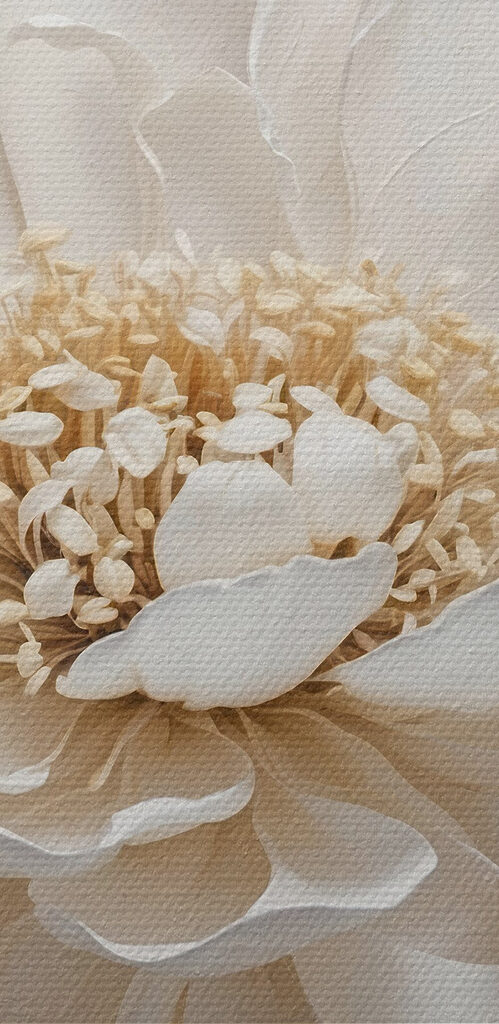 Delicate petals in soft colors