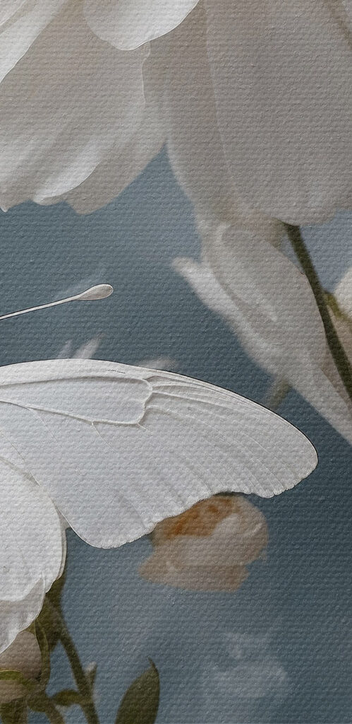 Butterfly on a flower Butterfly on a flower