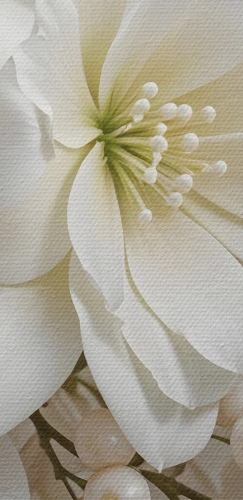 Elegant bouquet of soft white blooms Elegant bouquet of soft white blooms