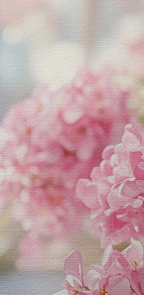 Bunch of pink flowers Bunch of pink flowers