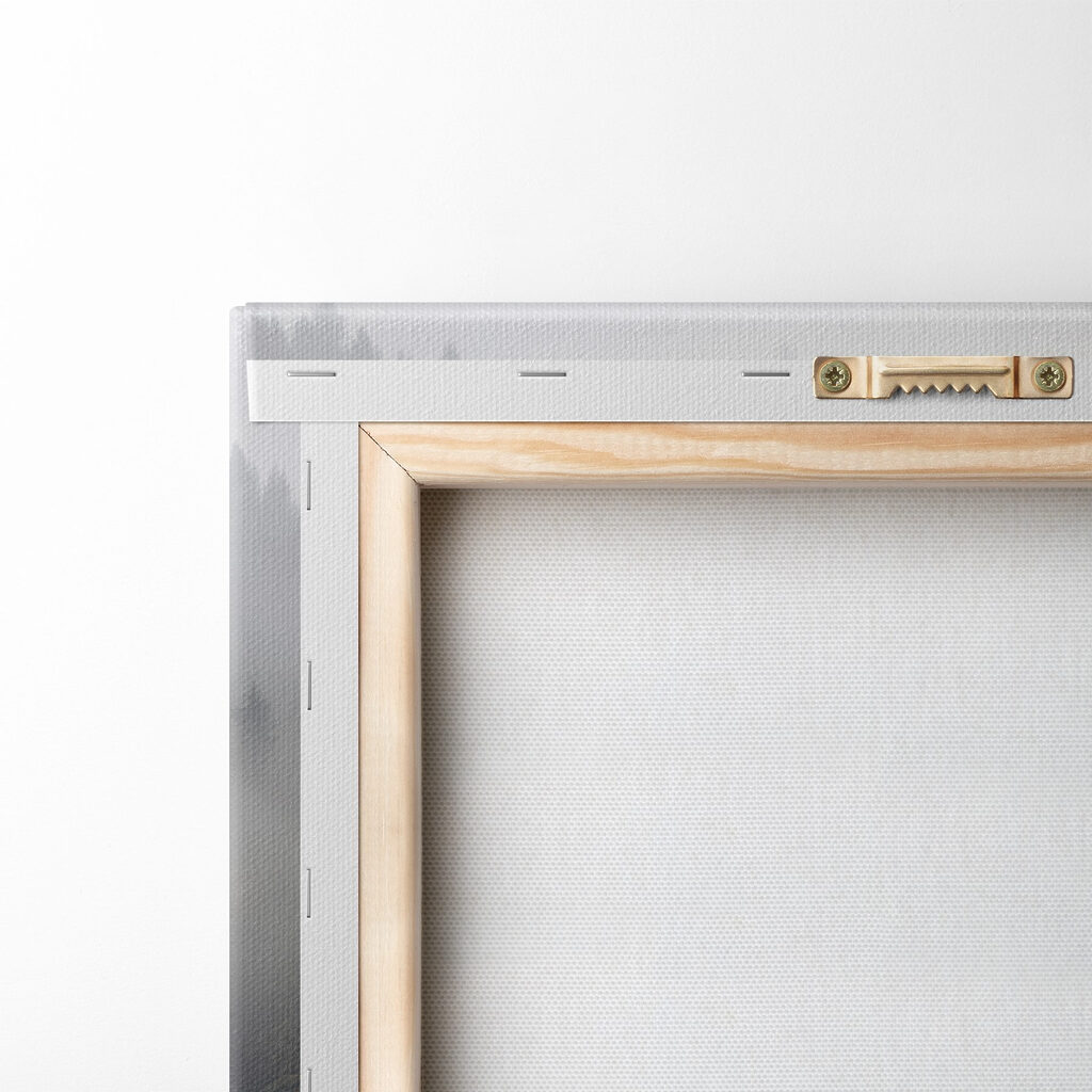 Group of trees with fog