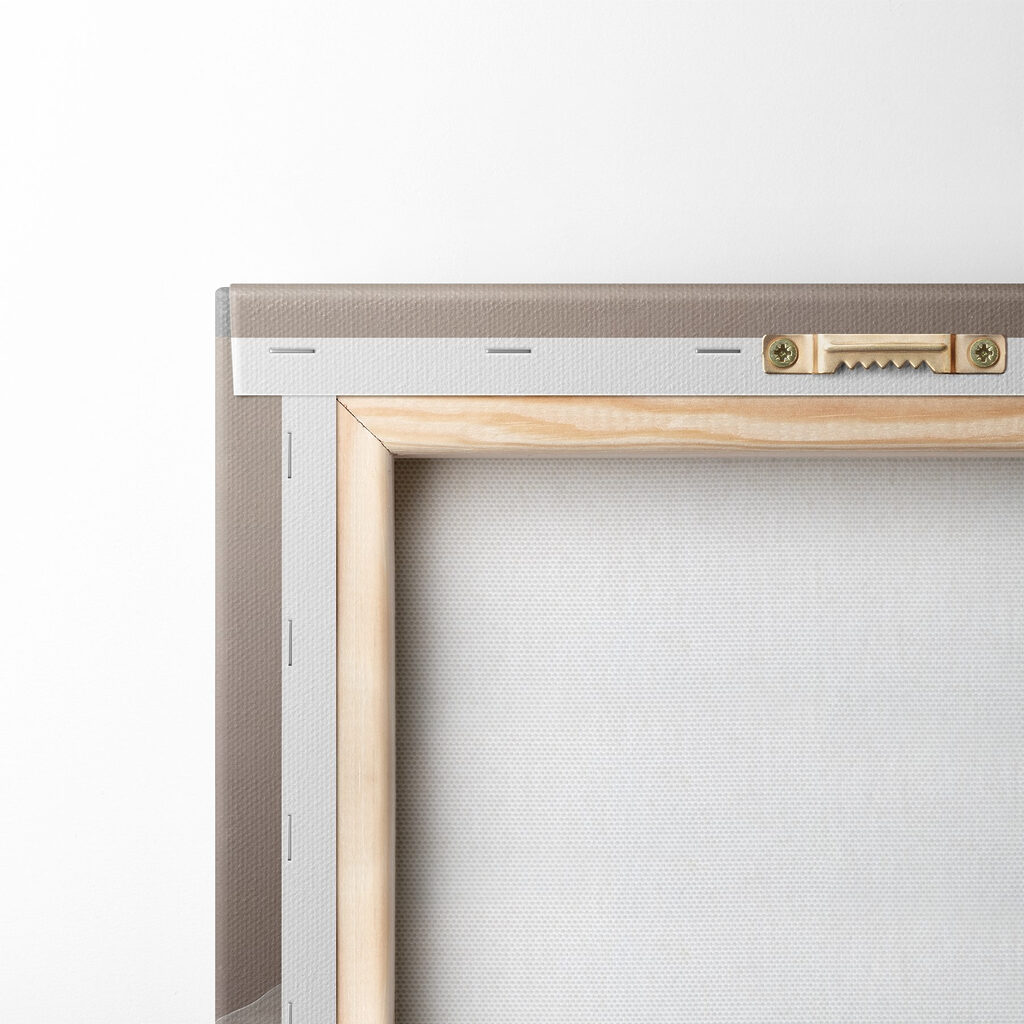 Delicate petals in soft hues Delicate petals in soft hues