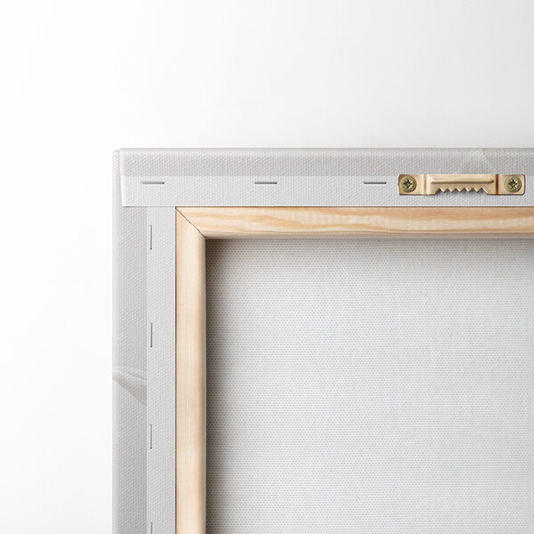 Group of white flowers Group of white flowers