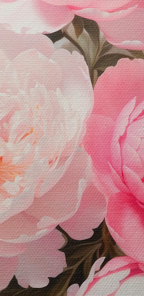 Group of pink and white flowers Group of pink and white flowers