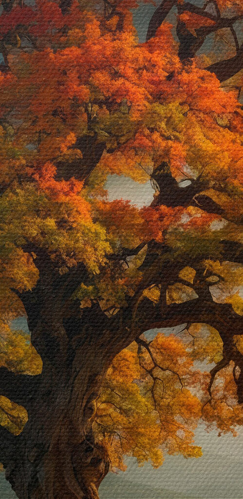 Tree with orange and yellow leaves on a hill Tree with orange and yellow leaves on a hill