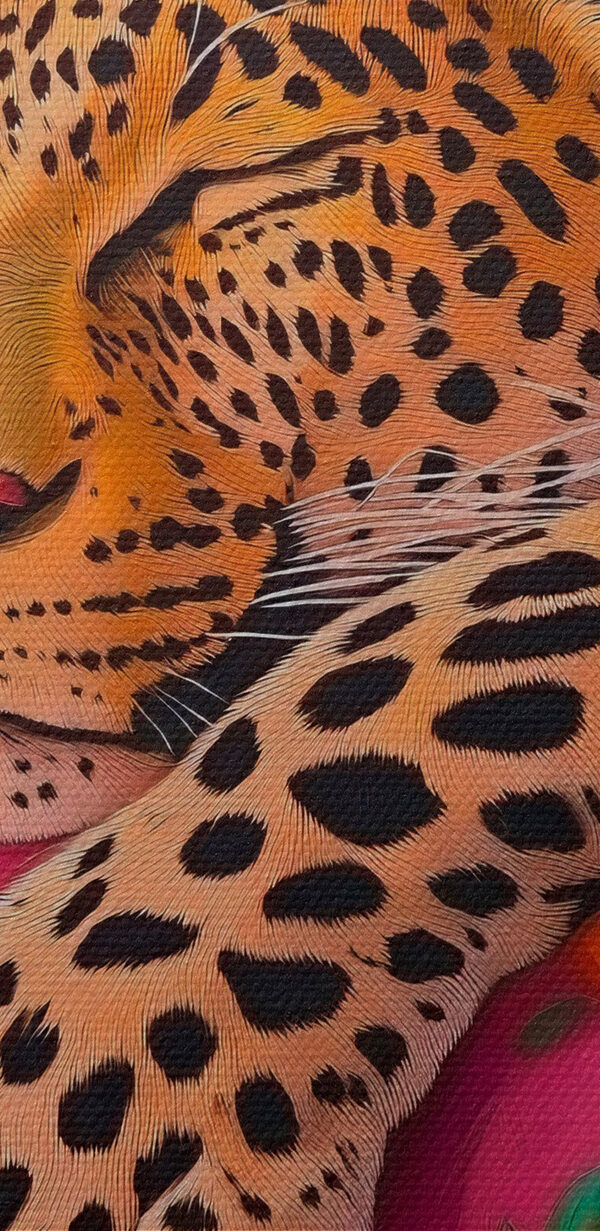 Leopard spiaci na ružovom gauči Leopard spiaci na ružovom gauči