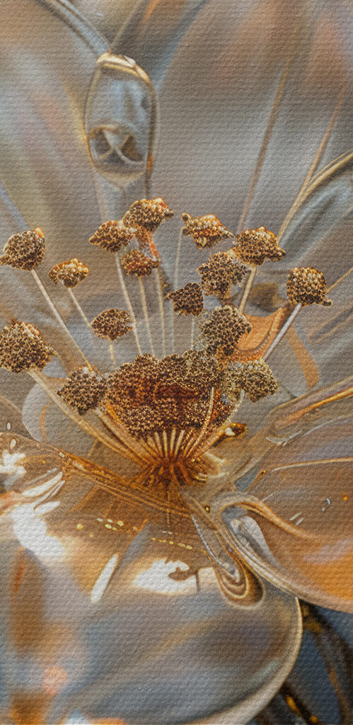 Delicate blossoms in soft hues