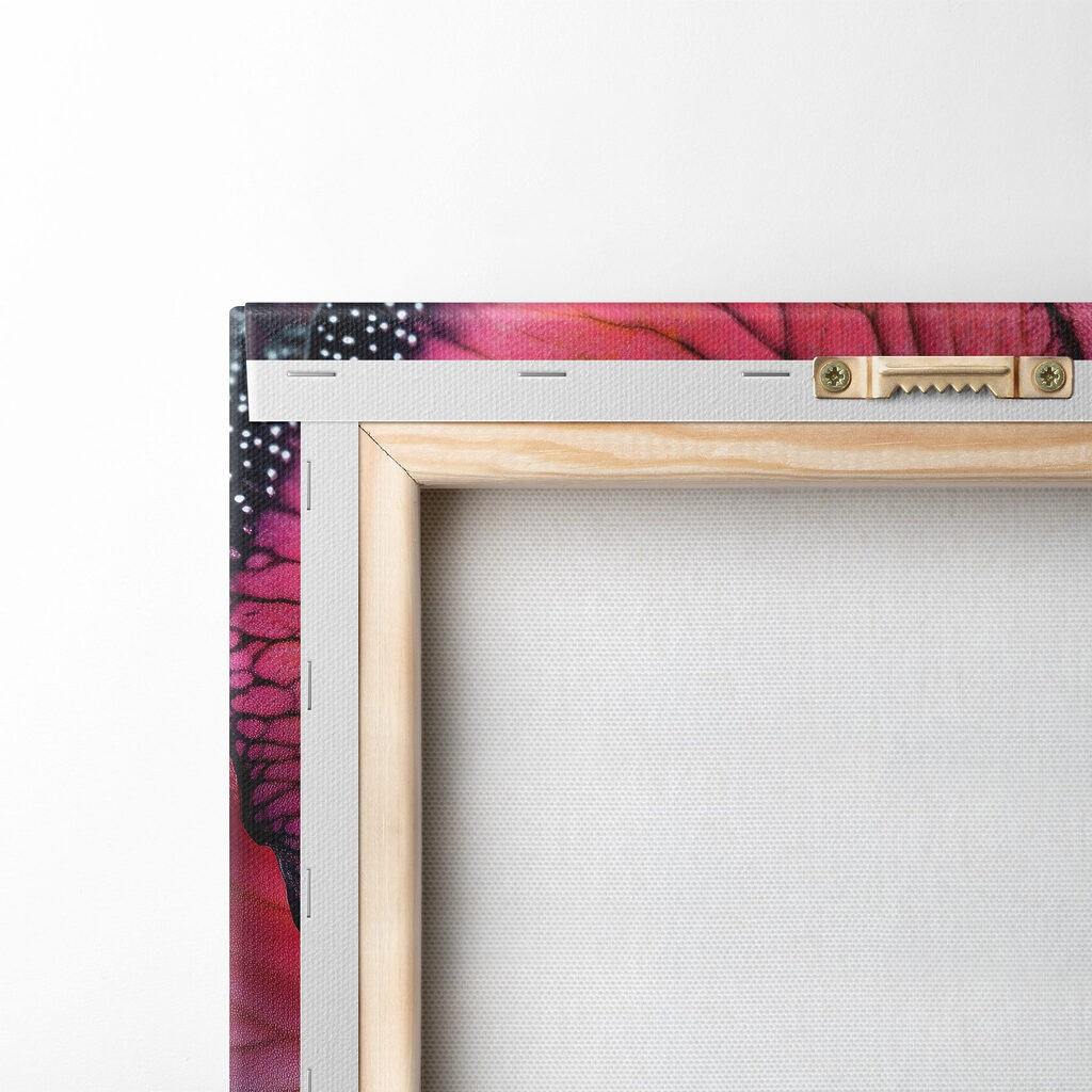 Delicate petals in vivid hues