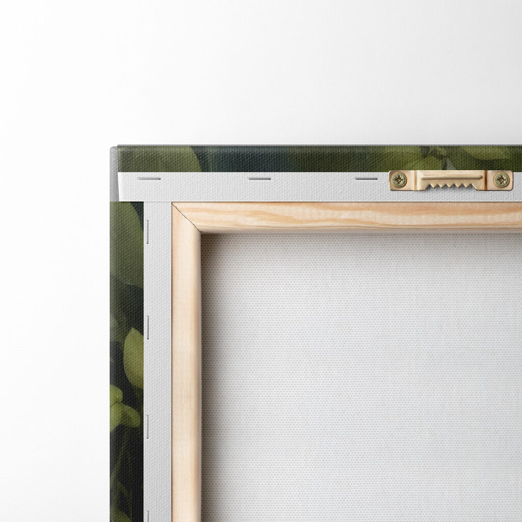 Rabbit in the bushes