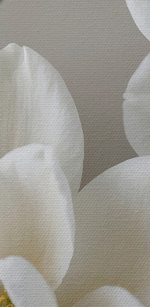 Group of white flowers