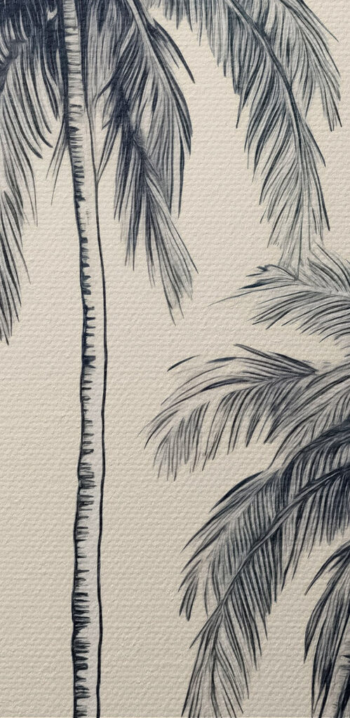 Group of palm trees Group of palm trees