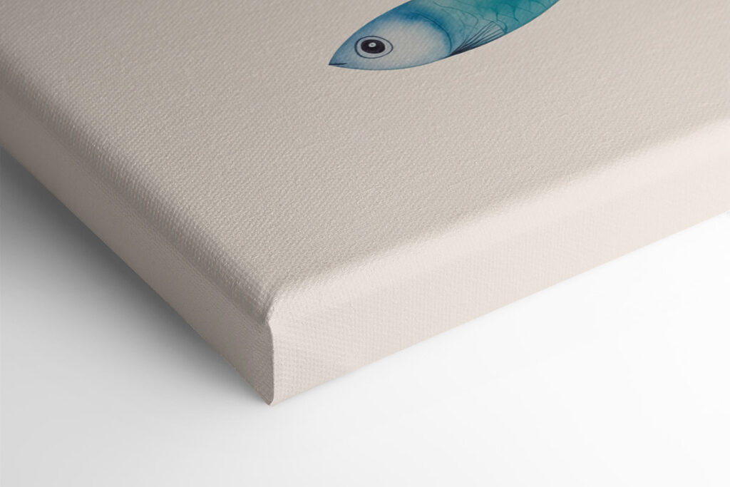 Group of fish with different colors Group of fish with different colors