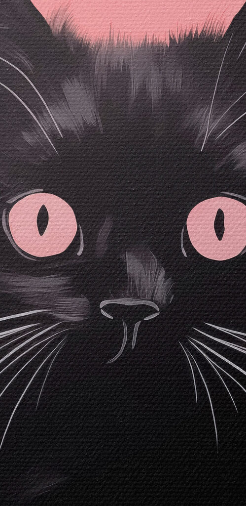 Black cat with pink eyes