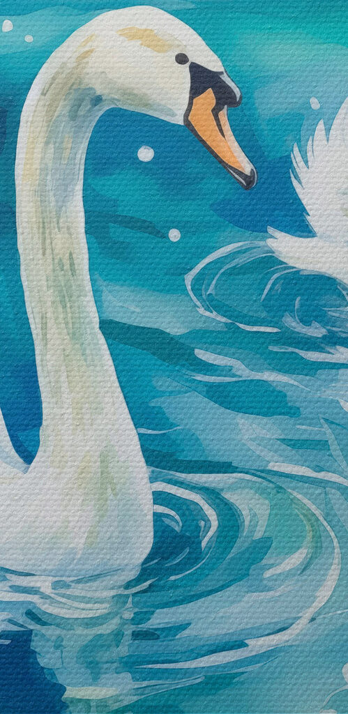 Two swans swimming in water