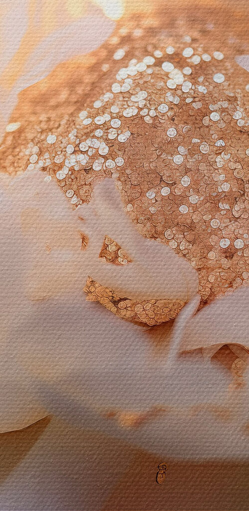 Elegant flower in soft lighting