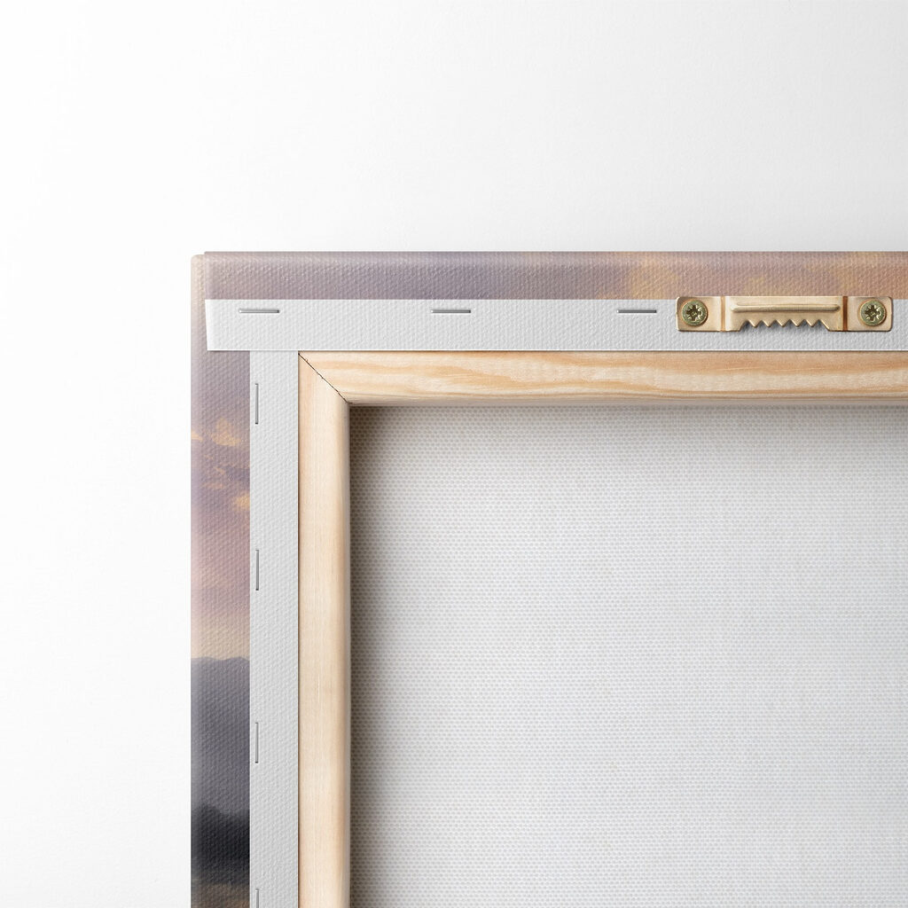 Field of flowers with mountains in the background