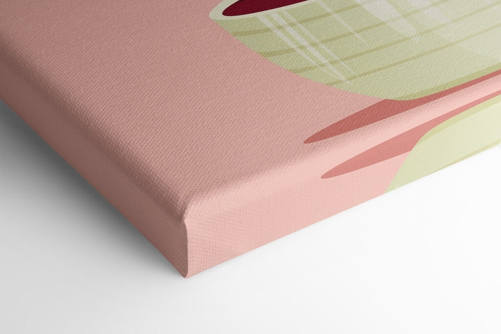 Cactus with pink flowers Cactus with pink flowers