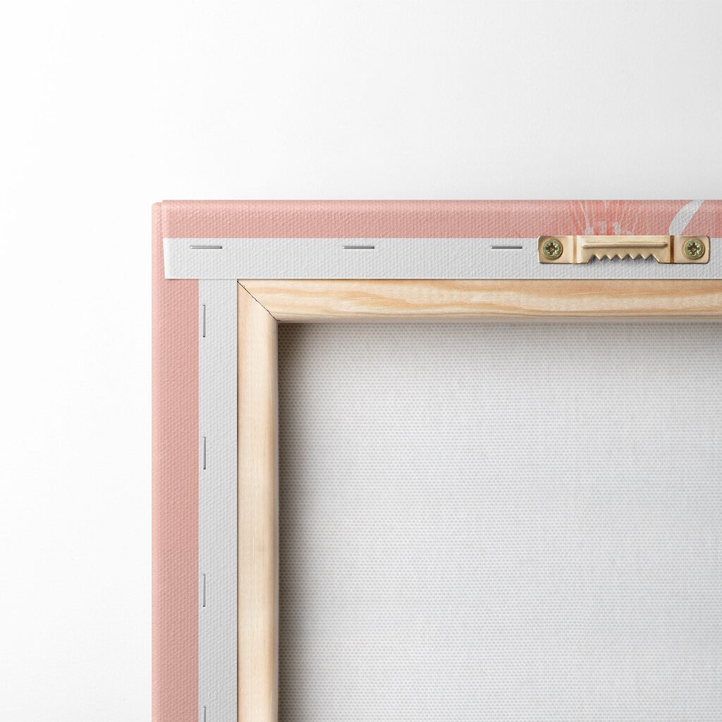 Cactus with pink flowers Cactus with pink flowers