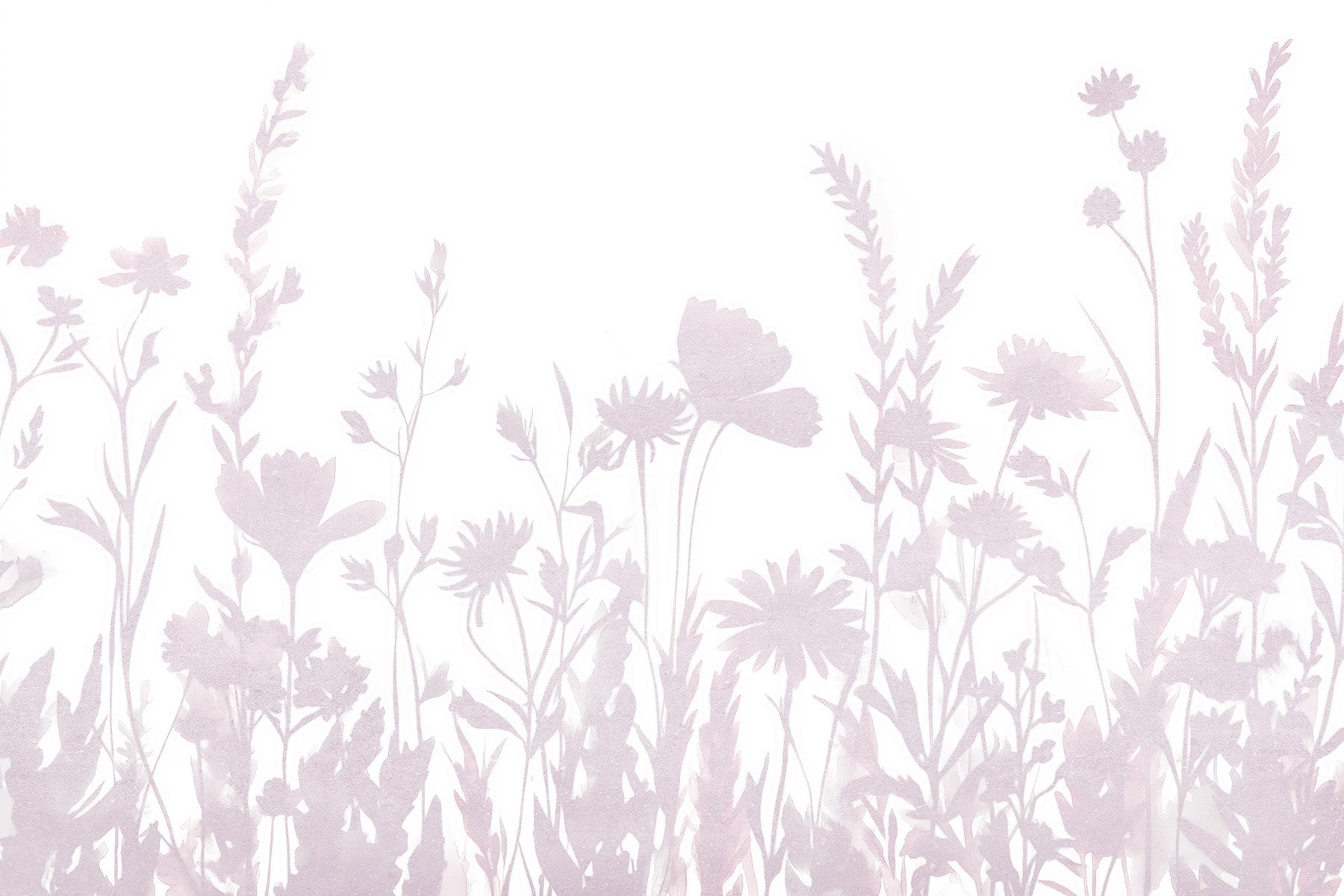 Soft silhouettes of delicate wildflowers