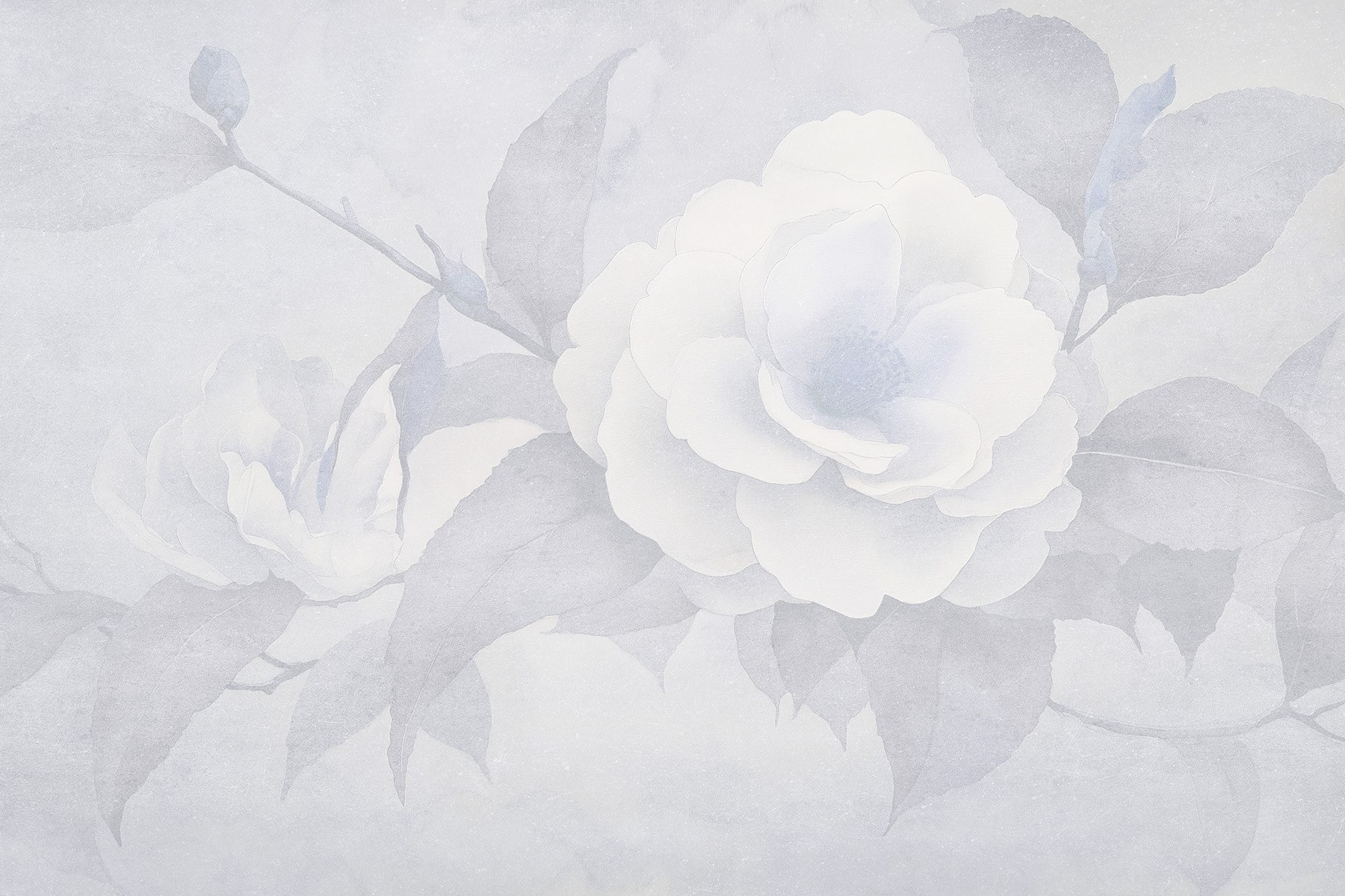 White flower with leaves White flower with leaves