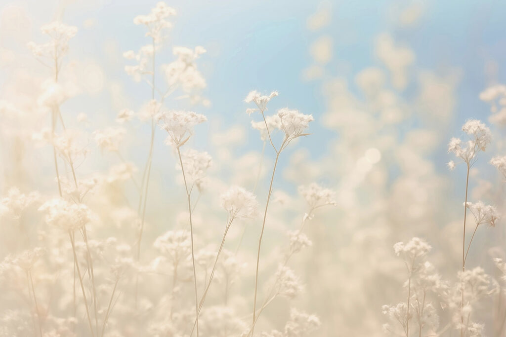 Dreamy flowers in soft sunlight