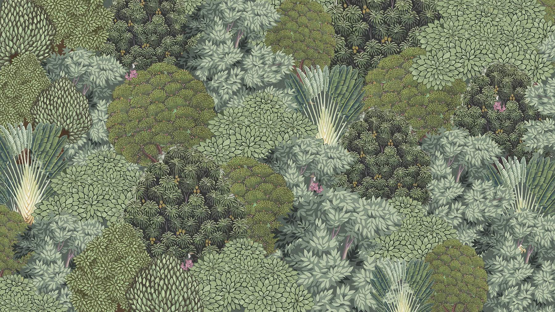 Large group of trees Large group of trees